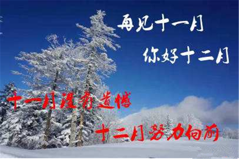11月再見 ，12月你好——貝朗全自動鋼絲機