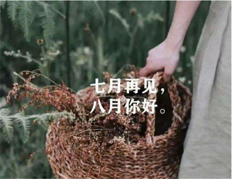 7月再見(jiàn)，8月你好！